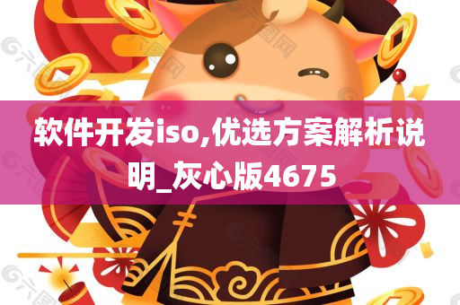 软件开发iso,优选方案解析说明_灰心版4675