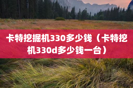 卡特挖掘机330多少钱（卡特挖机330d多少钱一台）