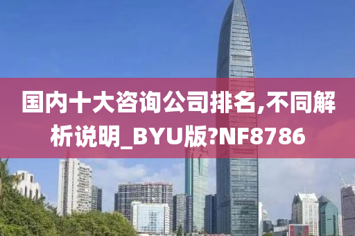 国内十大咨询公司排名,不同解析说明_BYU版?NF8786