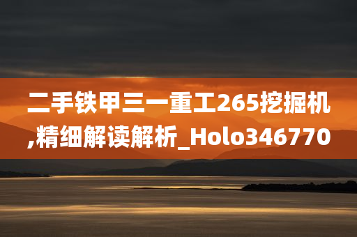 二手铁甲三一重工265挖掘机,精细解读解析_Holo346770