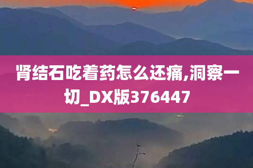 肾结石吃着药怎么还痛,洞察一切_DX版376447