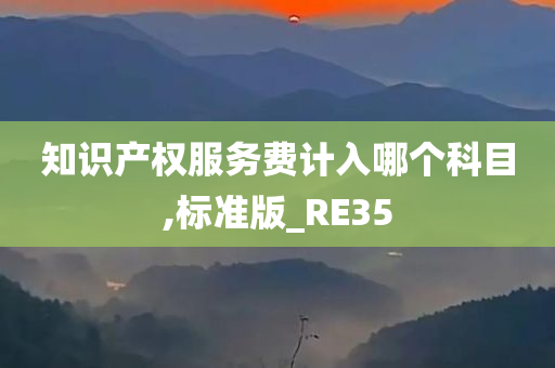 知识产权服务费计入哪个科目,标准版_RE35