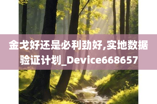 金戈好还是必利劲好,实地数据验证计划_Device668657