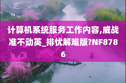 计算机系统服务工作内容,威战准不动英_排忧解难版?NF8786