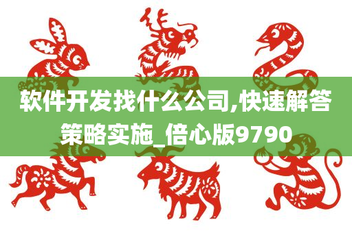 软件开发找什么公司,快速解答策略实施_倍心版9790