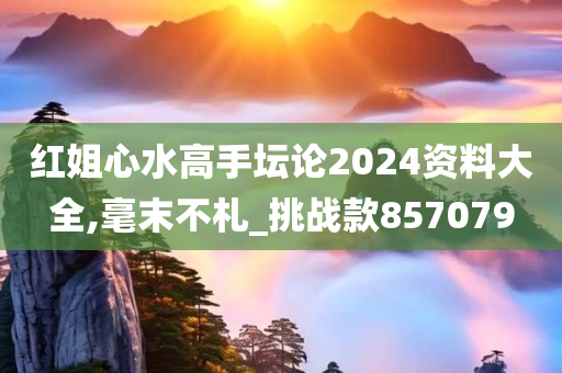 红姐心水高手坛论2024资料大全,毫末不札_挑战款857079