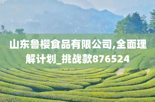 山东鲁樱食品有限公司,全面理解计划_挑战款876524