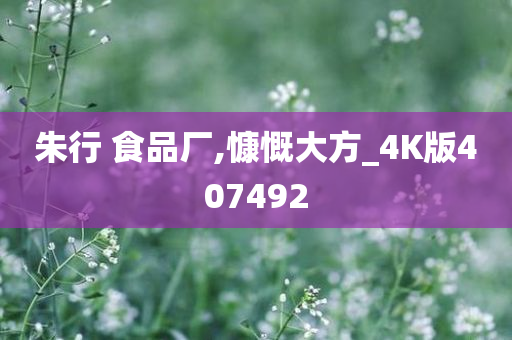 朱行 食品厂,慷慨大方_4K版407492