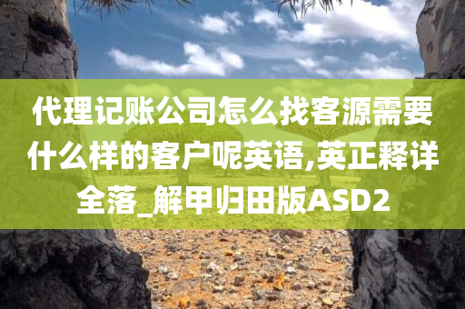 代理记账公司怎么找客源需要什么样的客户呢英语,英正释详全落_解甲归田版ASD2