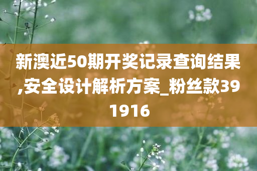 新澳近50期开奖记录查询结果,安全设计解析方案_粉丝款391916