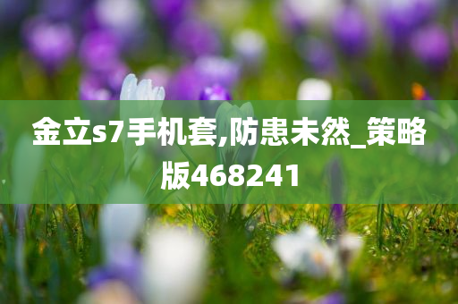 金立s7手机套,防患未然_策略版468241