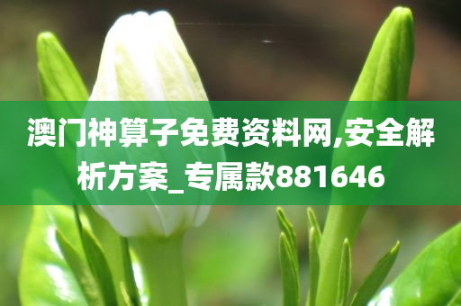 澳门神算子免费资料网,安全解析方案_专属款881646