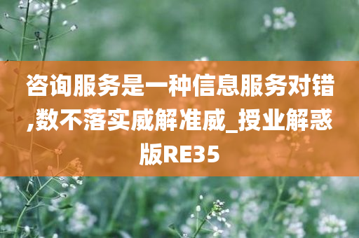 咨询服务是一种信息服务对错,数不落实威解准威_授业解惑版RE35