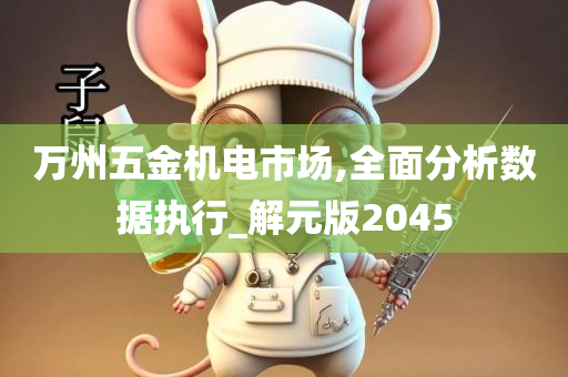 万州五金机电市场,全面分析数据执行_解元版2045