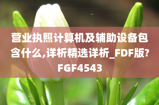 营业执照计算机及辅助设备包含什么,详析精选详析_FDF版?FGF4543