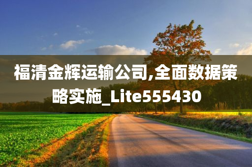 福清金辉运输公司,全面数据策略实施_Lite555430