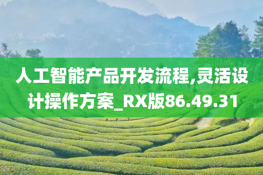 人工智能产品开发流程,灵活设计操作方案_RX版86.49.31