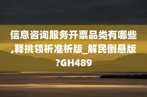 信息咨询服务开票品类有哪些,释挑领析准析版_解民倒悬版?GH489