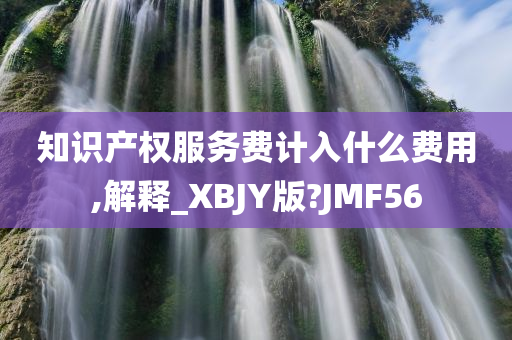 知识产权服务费计入什么费用,解释_XBJY版?JMF56