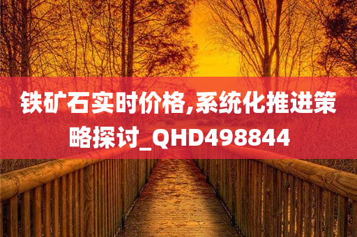 铁矿石实时价格,系统化推进策略探讨_QHD498844