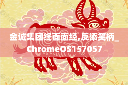 金诚集团终面面经,反添笑柄_ChromeOS157057