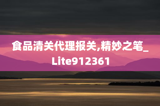 食品清关代理报关,精妙之笔_Lite912361