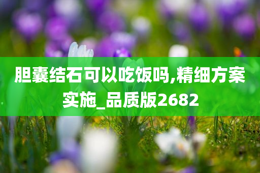 胆囊结石可以吃饭吗,精细方案实施_品质版2682