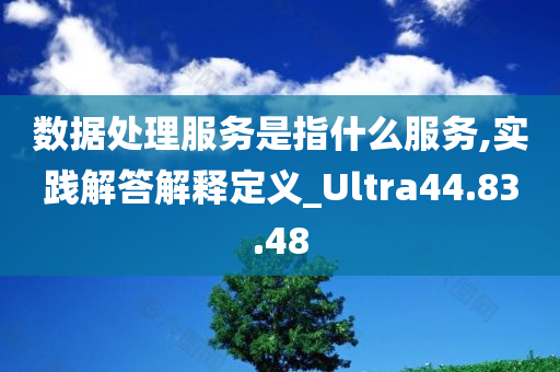 数据处理服务是指什么服务,实践解答解释定义_Ultra44.83.48