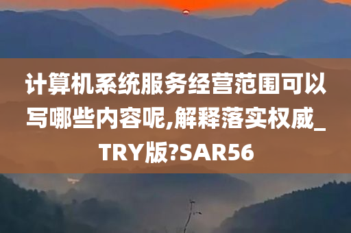 计算机系统服务经营范围可以写哪些内容呢,解释落实权威_TRY版?SAR56