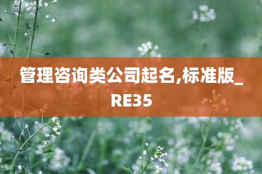 管理咨询类公司起名,标准版_RE35