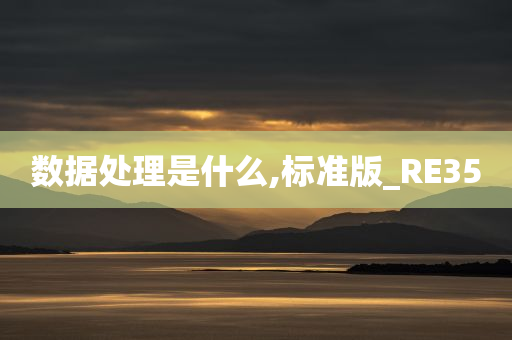 数据处理是什么,标准版_RE35