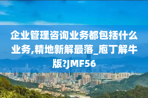 企业管理咨询业务都包括什么业务,精地新解最落_庖丁解牛版?JMF56