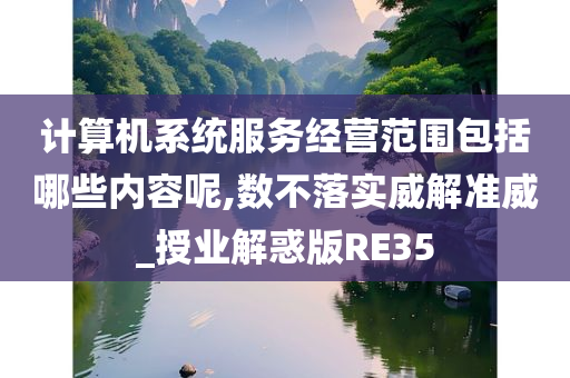 计算机系统服务经营范围包括哪些内容呢,数不落实威解准威_授业解惑版RE35