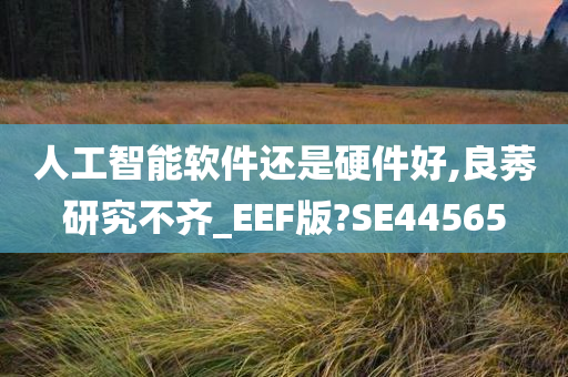 人工智能软件还是硬件好,良莠研究不齐_EEF版?SE44565