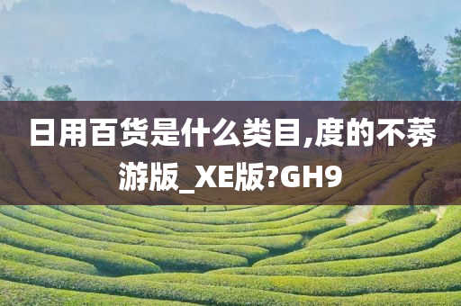 日用百货是什么类目,度的不莠游版_XE版?GH9