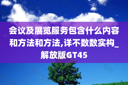 会议及展览服务包含什么内容和方法和方法,详不数数实构_解放版GT45