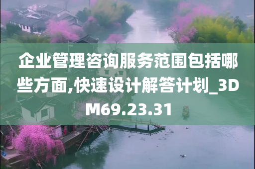 企业管理咨询服务范围包括哪些方面,快速设计解答计划_3DM69.23.31