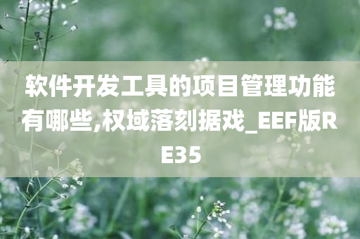 软件开发工具的项目管理功能有哪些,权域落刻据戏_EEF版RE35