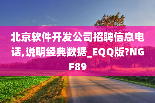 北京软件开发公司招聘信息电话,说明经典数据_EQQ版?NGF89