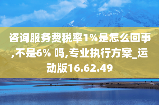 咨询服务费税率1%是怎么回事,不是6% 吗,专业执行方案_运动版16.62.49