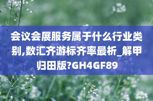 会议会展服务属于什么行业类别,数汇齐游标齐率最析_解甲归田版?GH4GF89