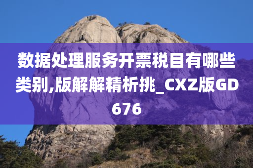 数据处理服务开票税目有哪些类别,版解解精析挑_CXZ版GD676