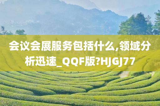 会议会展服务包括什么,领域分析迅速_QQF版?HJGJ77