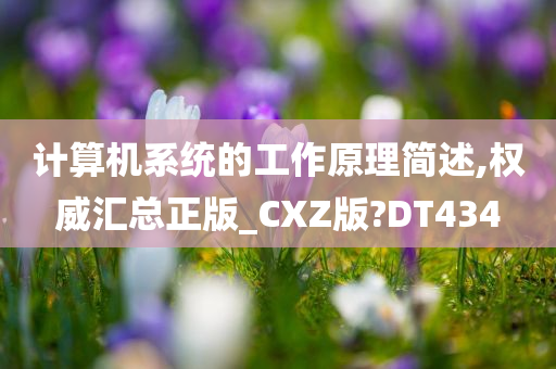 计算机系统的工作原理简述,权威汇总正版_CXZ版?DT434