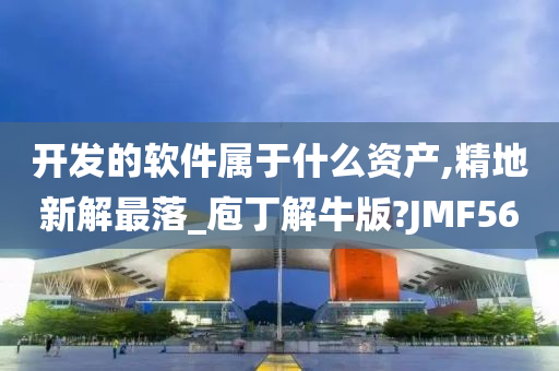 开发的软件属于什么资产,精地新解最落_庖丁解牛版?JMF56