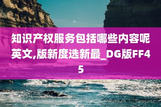 知识产权服务包括哪些内容呢英文,版新度选新最_DG版FF45