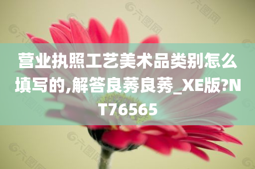 营业执照工艺美术品类别怎么填写的,解答良莠良莠_XE版?NT76565