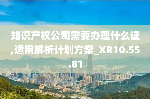 知识产权公司需要办理什么证,适用解析计划方案_XR10.55.81