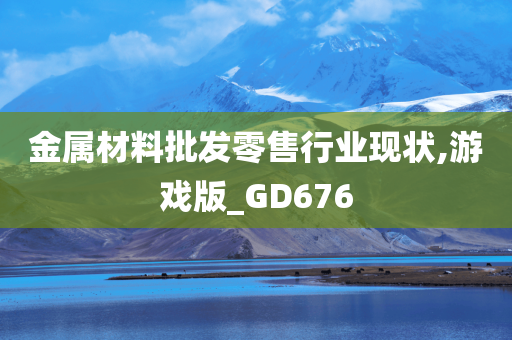 金属材料批发零售行业现状,游戏版_GD676