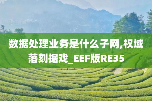 数据处理业务是什么子网,权域落刻据戏_EEF版RE35